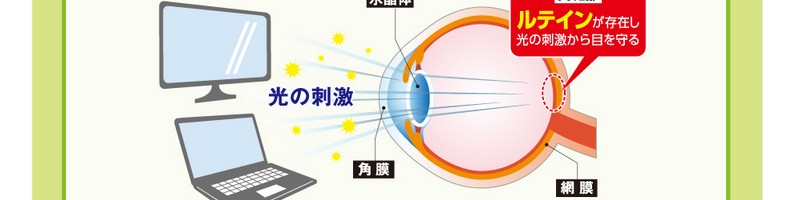 �߂΂����e�C�����T�C�g